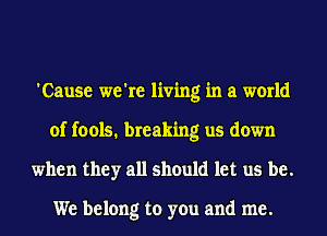 'Cause we're living in a world
of fools. breaking us down
when they all should let us be.

We belong to you and me.