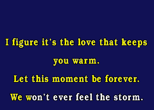I figure it's the love that keeps
you warm.
Let this moment be forever.

We won't ever feel the storm.