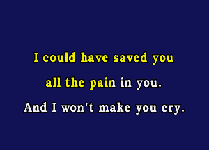 I could have saved you

all the pain in you.

And I won't make you cry.