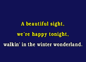 A beautiful sight.
we're happy tonight.

walkin' in the winter wonderland.