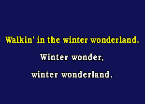 Walkin' in the winter wonderland.
Winter wonder.

winter wonderland.