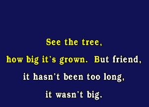 See the tree.

how big it's grown. But friend.

it hasn't been too long.

it wasn't big.
