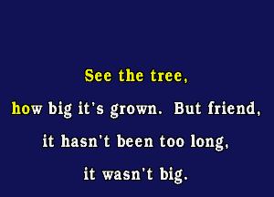 See the tree.

how big it's grown. But friend.

it hasn't been too long.

it wasn't big.