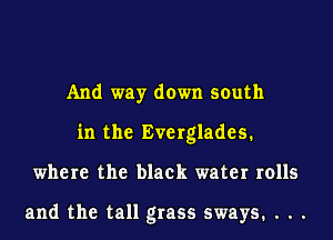 And way down south
in the Everglades.
where the black water rolls

and the tall grass sways. . . .