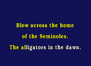 Blow across the home

of the Seminoles.

The alligators in the dawn.
