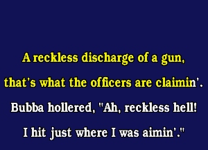 A reckless discharge of a gun.
that's what the officers are claimin'.
Bubba hollered. Ah. reckless hell!

I hit just where I was aimin'.