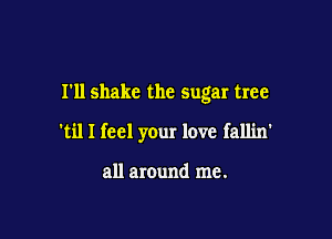 I'll shake the sugar tree

'til I feel your love fallin'

all around me.