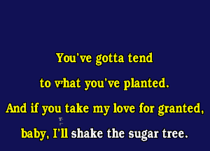 You've gotta tend
to what you've planted.
And if you take my love for granted.
baby. I'll shake the sugar tree.