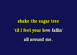 shake the sugar tree

'til I feel your love fallin'

all around me.