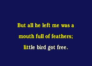 But all he left me was a

mouth full of feathers

little bird got free.