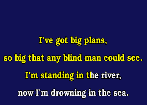 I've got big plans.
so big that any blind man could see.
I'm standing in the river.

now I'm drowning in the sea.