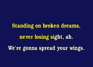 Standing on broken dreams.
never losing sight. ah.

We're gonna spread your wings.