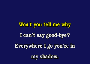 Won't you tell me why

I can't say good-bye?

Everywhere I go you're in

my shadow.