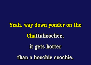 Yeah. way down yonder on the

Chattahoochee.

it gets hotter

than a hoochie coochie.