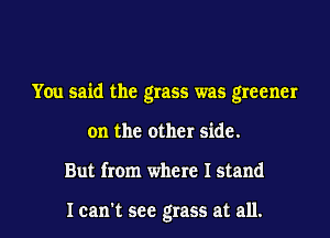 You said the grass was greener
on the other side.
But from where I stand

I can't see grass at all.