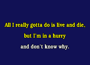 All I really gotta do is live and die.

but I'm in a hurry

and don't know why.