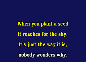 When you plant a seed

it reaches for the sky.

It's just the way it is.

nobody wonders why.