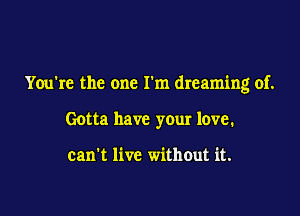 You're the one I'm dreaming of.

Gotta have your love.

can't live without it.