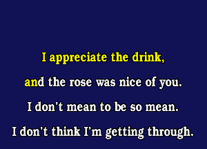I appreciate the drink.
and the rose was nice of you.
I don't mean to be so mean.

I don't think I'm getting through.