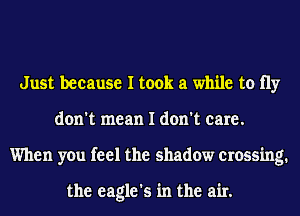 Just because I took a while to 11y
don't mean I don't care.
When you feel the shadow crossing.

the eagle's in the air.