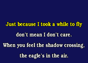 Just because I took a while to 11y
don't mean I don't care.
When you feel the shadow crossing.

the eagle's in the air.