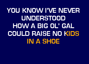 YOU KNOW I'VE NEVER
UNDERSTOOD
HOW A BIG OL' GAL
COULD RAISE N0 KIDS
IN A SHOE