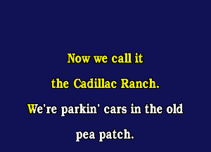 Now we call it

the Cadillac Ranch.

We're parkin' cars in the old

pea patch.