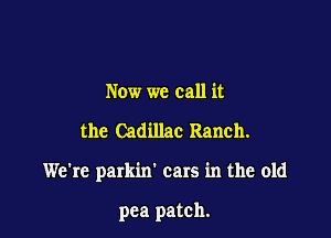 Now we call it

the Cadillac Ranch.

We're parkin' cars in the old

pea patch.