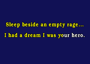 Sleep beside an empty rage...

I had a dream I was your hero.