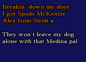 Breakin' down my door
I got Spuds McKenzie
Alex from Stroh's

They won't leave my dog
alone with that Medina pal