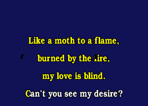 Like a moth to a flame.
burned by the Are.

my love is blind.

Can't you see my desire?