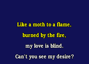 Like a moth to a flame.
burned by the fire.
my love is blind.

Can't you see my desire?