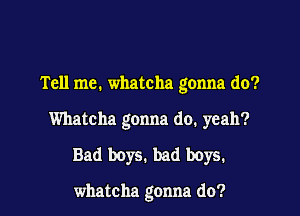 Tell me. whatcha gonna do?

Whatcha gonna do. yeah?
Bad boys. bad boys.

whatcha gonna do?