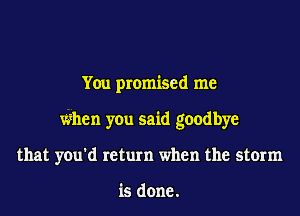 You promised me

when you said goodbye

that you'd return when the storm

is done.