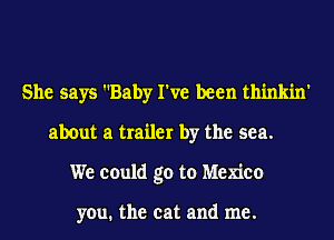 She says Baby I've been thinkin'
about a trailer by the sea.
We could go to Mexico

you. the cat and me.