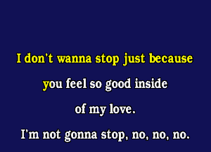 I don't wanna stop just because
you feel so good inside
of my love.

I'm not gonna stop. no. no. no.
