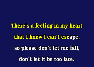 There's a feeling in my heart
that I know I can't escape.
so please don't let me fall.

don't let it be too late.