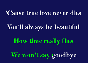 'Cause true love never dies
You'll always be beautiful
HOW time really flies

We won't say goodbye