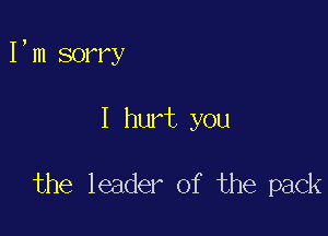 I,m sorry

I hurt you

the leader of the pack