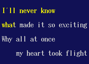 I ll never know
what made it so exciting

Why all at once

my heart took flight