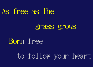 As free as the
grass grows

Born free

to follow your heart