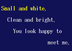 Small and white,
Clean and bright,

You look happy to

meet me,