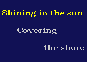 Shining in the sun

Covering

the shore