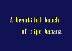 A beautiful bunch

of ripe banana