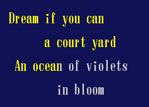 Dream if you can

a court yard
An ocean of violets

in bloom
