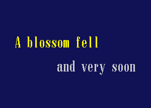 A blossom fell

and very soon