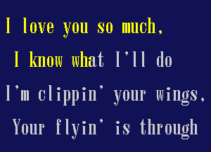 I love you so much.
I know what l ll d0

I m clippin' your wings,

Your flyin' is through