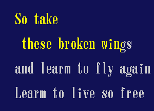 SotMm

these broken wings

and learm to fly again

Learm to live so free