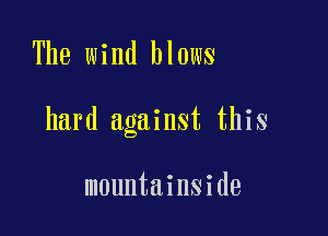 The wind blows

hard against this

mountainside