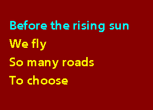 Before the rising sun
We fly

So many roads
To choose